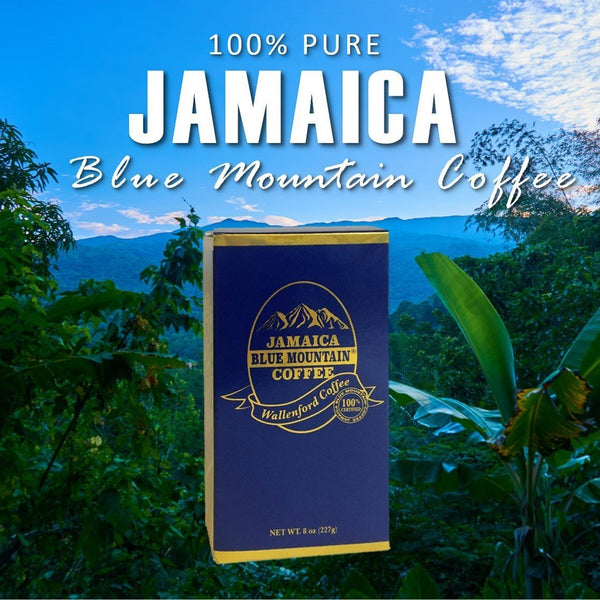 Jamaica Blue Mountain - The Rolls-Royce of Coffees