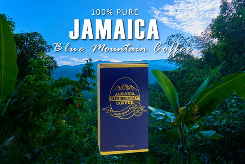 Jamaica Blue Mountain Coffee Gift Box | Child Life Coffee
